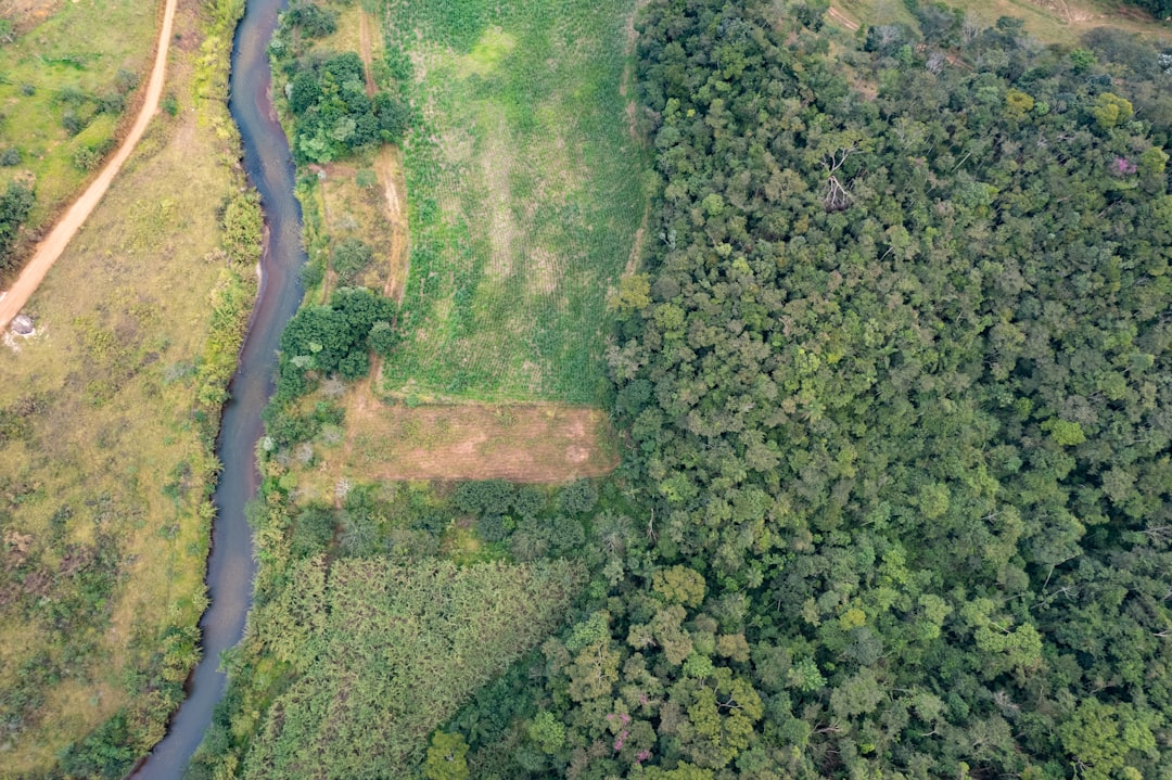 Uma Vista Aerea De Um Rio Que Atravessa Uma Floresta Verdejante wXHcXH5f464