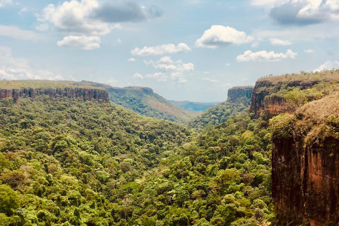 Foto Da Paisagem Das Montanhas E Arvores VLMs1k kGS4