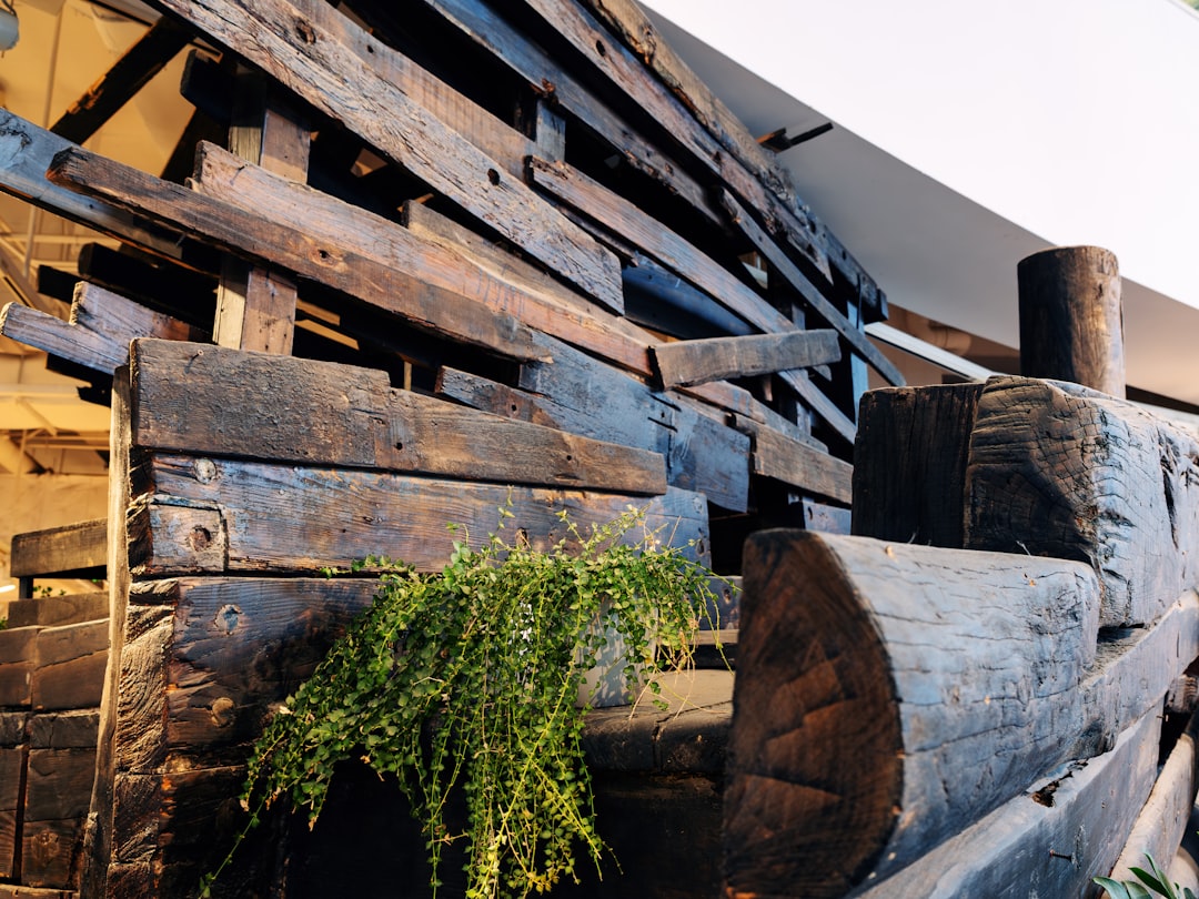 Tabuas E Troncos De Madeira Desgastados Formam Uma Estrutura Rustica S_I7mXSA4ho