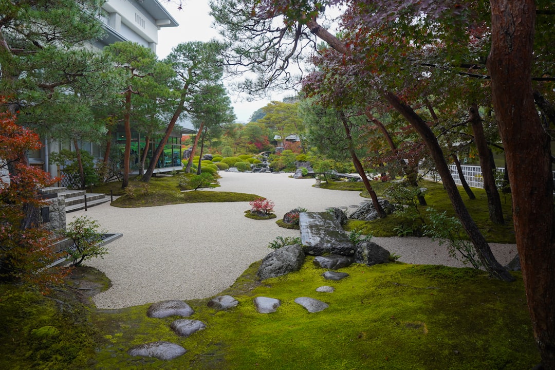 Jardim Japones Tranquilo Com Areia E Musgo Ancinhos uC5UlYnAbZ4