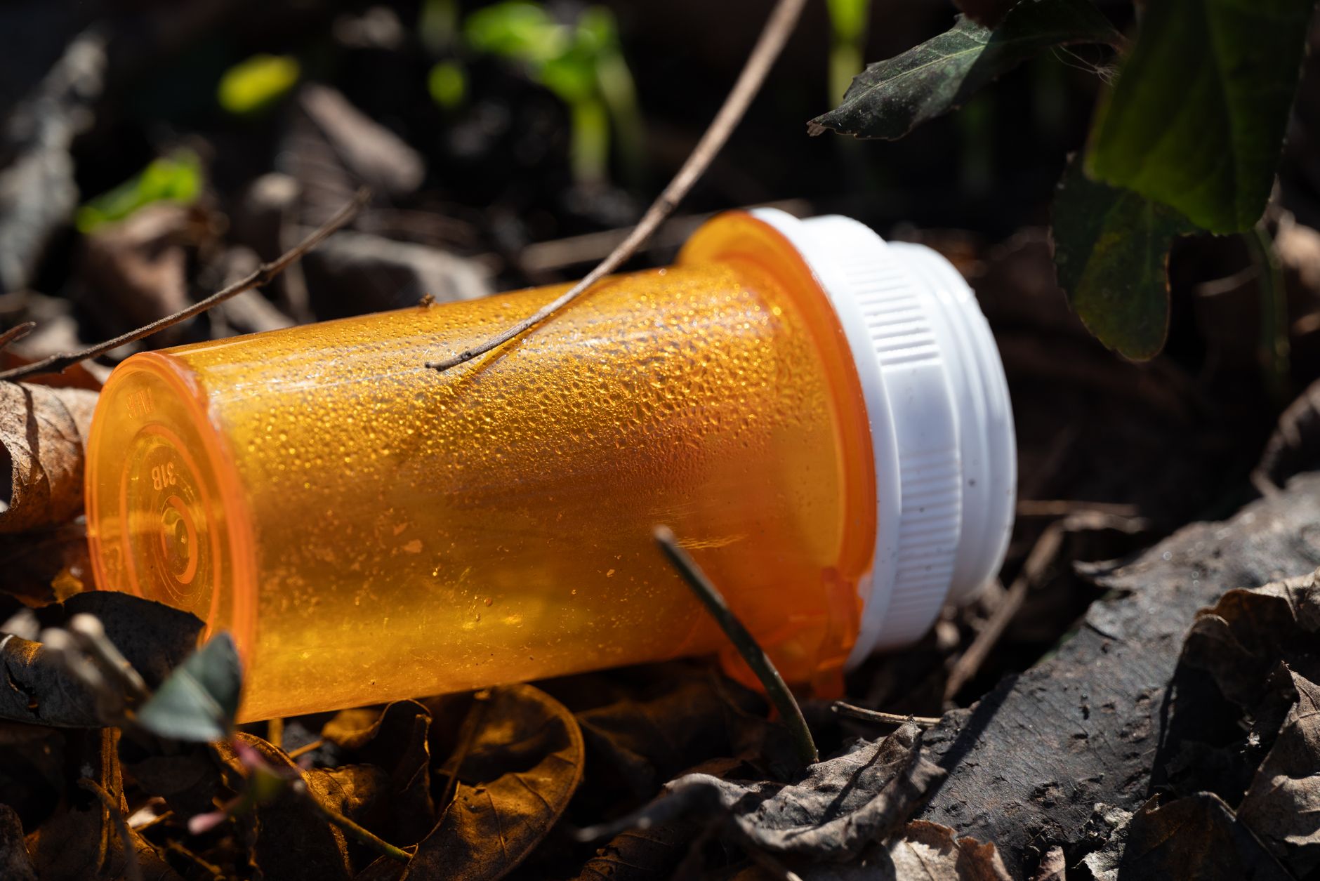 Close-up of an empty orange pill bottle lying on the ground surrounded by leaves.