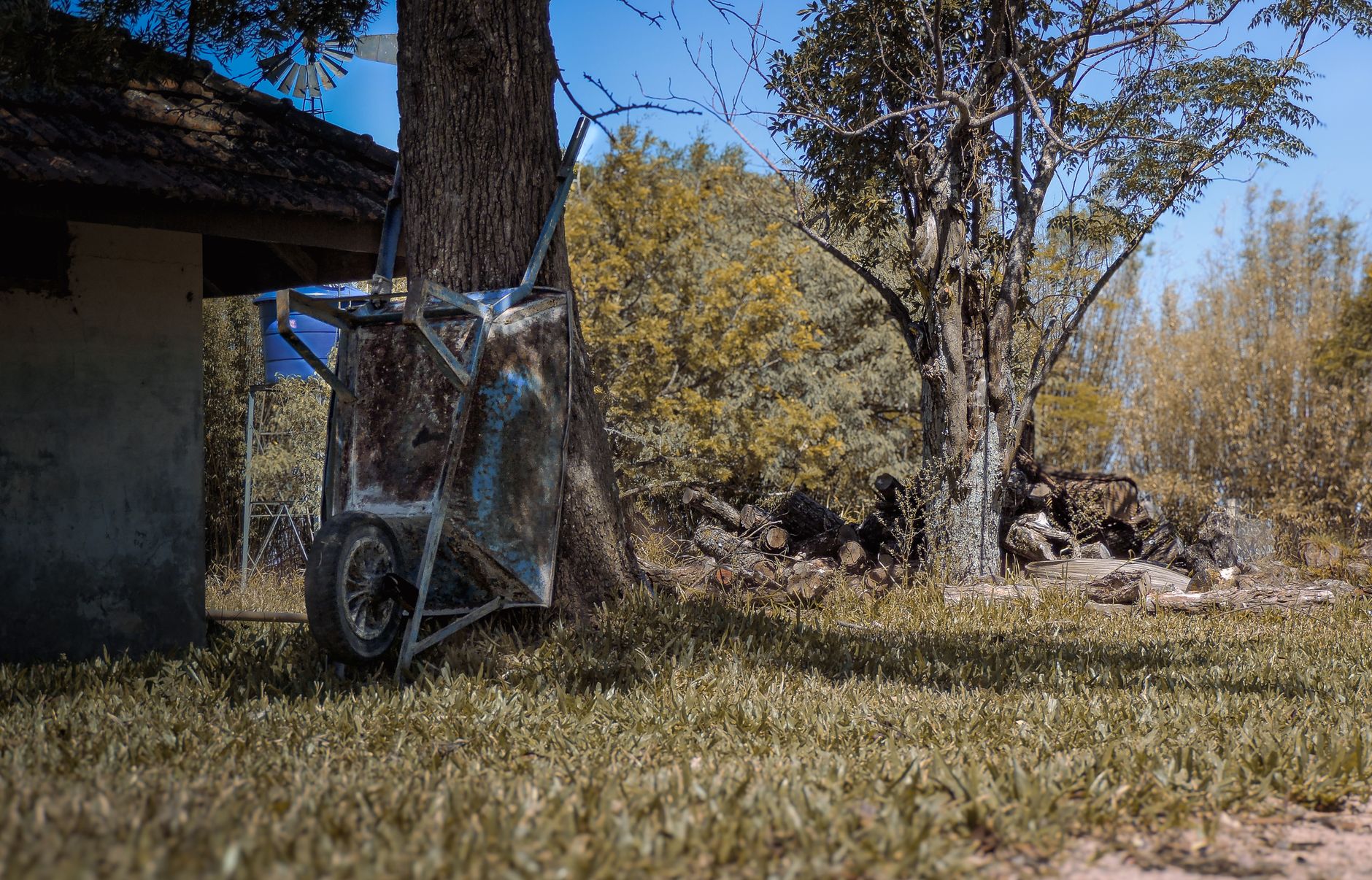 Tranquil countryside setting with an old cart under a tree in Rio Grande do Sul, Brazil.